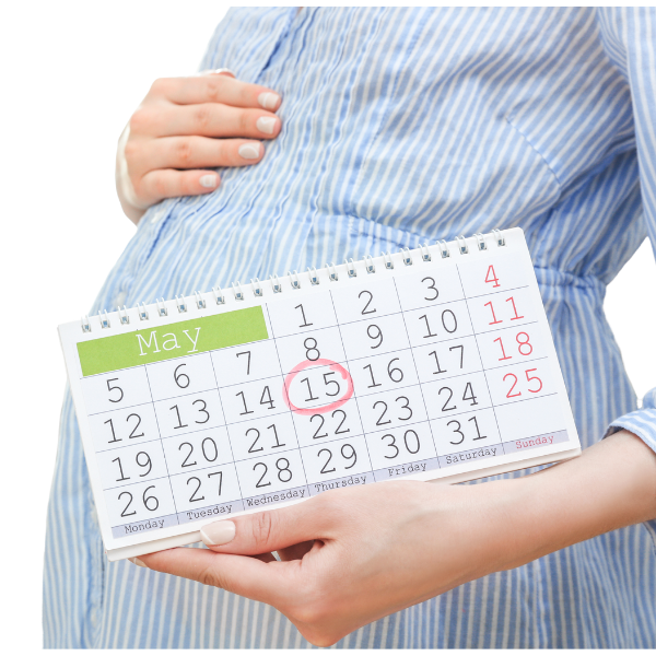 baby kalender